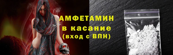 сатива Коряжма
