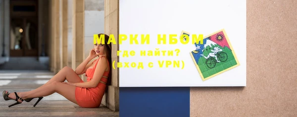 сатива Коряжма