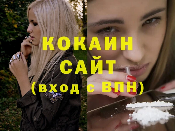 сатива Коряжма