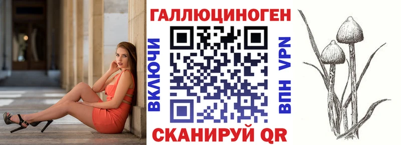 гидра маркетплейс  Элиста  Галлюциногенные грибы Psilocybe 