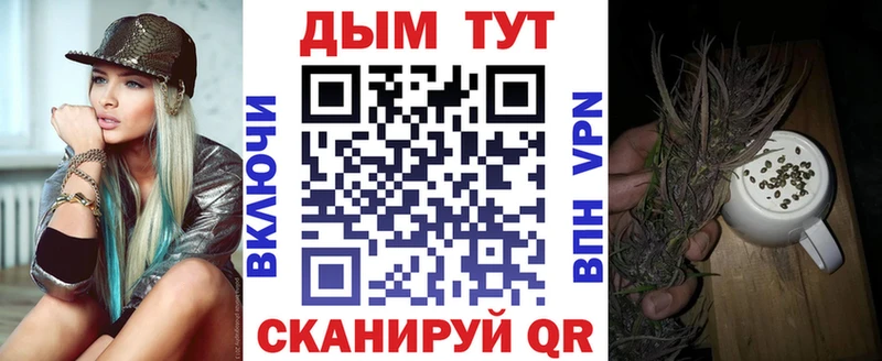 Бошки марихуана семена  купить наркотик  Элиста 
